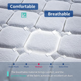 Ninare Memory Foam and Spring Mixed Mattress, Medium Hardness, Sports Isolation, Edge Support, Soft Touch, Cool and Comfortable, Breathable Mattress (12 inch Queen Medium Firm) Ninare