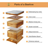 ThxBees 10-Frame Bee Hive Complete Beehive Kit Beeswax Coated Beehive Include Frames and Foundation Sheets for All Beekeeping Levels (1 Deep & 1 Medium Bee Boxes) ThxBees