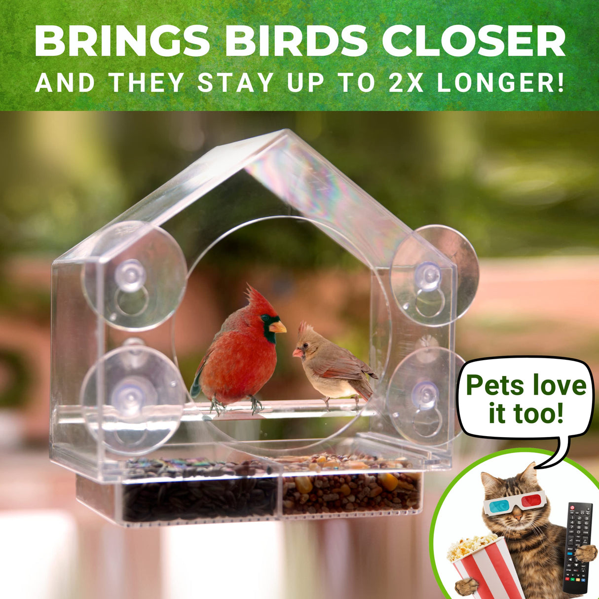 Window Bird Feeder by Nature Anywhere - Transparent Acrylic Bird Feeders for Outdoors - Enhanced Suction Grip, Bird Watching for Cats, Easy-to-Clean, Outdoor Birdhouse Feeder Nature Anywhere
