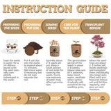 Sproutix Indoor Bonsai Garden Starter Kit, 5 Seeds Growing into Red Maple, Wisteria, Black Pine, Judas Tree, Acacia, Including Complete Gardening Planters & A Wooden Box, Christmas Gifts for Women SPROUTIX