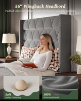 OHOHOLIVE Queen Size Bed Frame with 56" Headboard - 1000LBS Capacity Support, Velvet Upholstered Wingback Platform Bed Frame, Noise Free, Sturdy Wooden Slat Support OHOHOLIVE