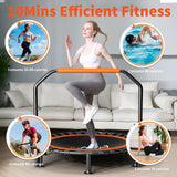 40"/48" Foldable Mini Trampoline Load 330lbs,Portable Exercise Rebounder Trampoline with Adjustable Foam Handle,Fitness Trampoline for Adults (40 in with handrail) FitinOne
