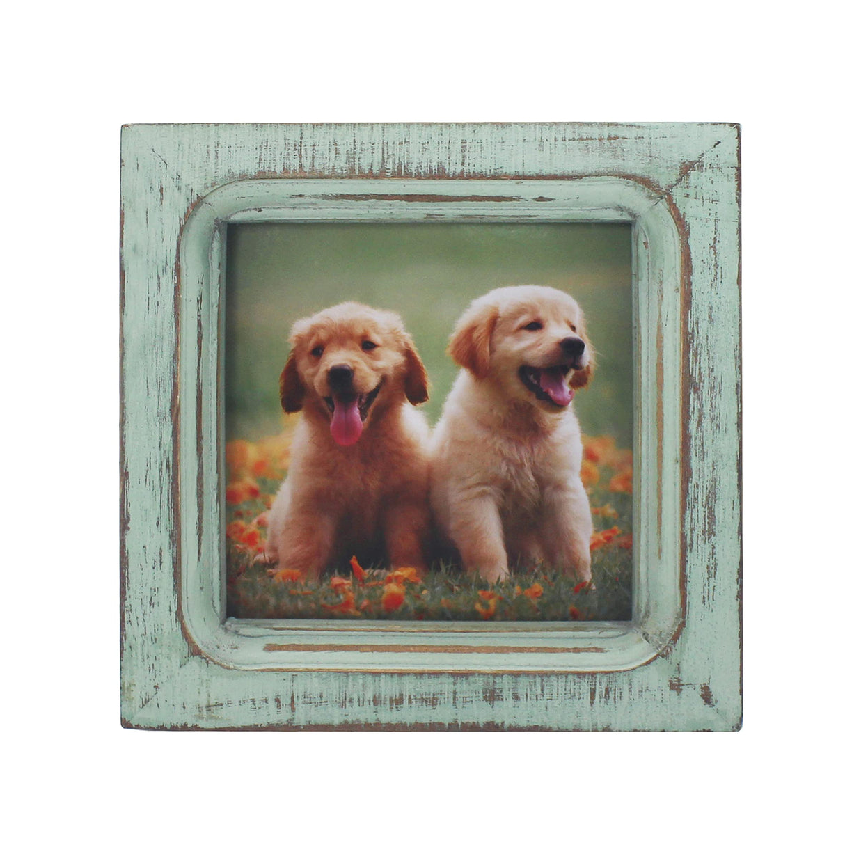 CVHOMEDECO. 4x4 Picture Frame Made of Solid Wood High Definition Glass Rustic Vintage Designs Small Photo Frame for Tabletop Display and Wall Mounting, Distress Teal CVHOMEDECO.