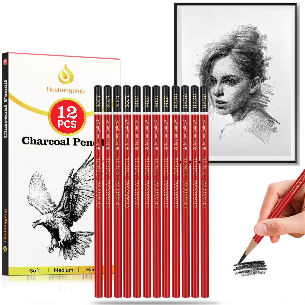 Daerthotk Charcoal Pencils Drawing Set, 12 Pieces Soft, Medium and Hard Black Sketch Charcoal Pencils for Drawing, Sketching, Shading, Blending, Artist Pencils for Beginners & Pro Artists Daerthotk