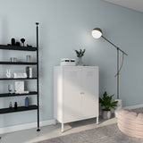 LINGZOE 2 Door Metal Locker Storage Cabinet with 2 Adjustable Shelves,Steel Locker Cupboard for Bedroom, Bedside, Office Room LINGZOE