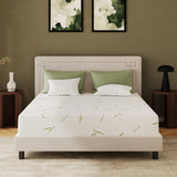 EGOHOME 8 Inch Twin Size Mattress, Cooling Green Tea Gel Memory Foam for Pressure Relief, Medium Firm Support, Fiberglass Free, Bed in a Box, CertiPUR-US Certified EGOHOME