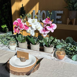 Winlyn Set of 3 Small Artificial Orchid Potted Plants Arrangement with Rustic Wood Planter Box Real Touch Faux Phalaenopsis Moth Orchid Flowers in Pots for Home Office Desk Shelf Table Centerpiece Winlyn