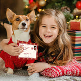 JarThenaAMCS 25Pcs Christmas Official Letters From Santa Set Include 5Pcs Vintage Gold Snowflake Writing Paper 5Pcs Certificates 5Pcs Envelopes 10 Stickers For Mailbox Family Party Favors JarThenaAMCS