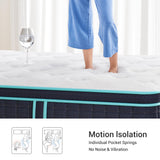 VIZIM Twin Mattress, 12 Inch Twin Size Mattresses in a Box, Memory Foam and and Individual Pocket Springs for Pressure Relief & Motion Isolation, Medium Firm, CertiPUR-US Certified VIZIM