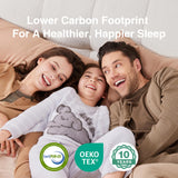 Novill 6/8 Inch Foam and Spring Hybrid Mattress, Queen Mattress in a Box, Medium Support, CertiPUR-US Certified Foam & Steel Coils, Durable Design, Guest and Youth Bedroom, Eco-Friendly Packaging Novilla