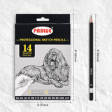 PABLUE Professional Triangular Drawing Sketching Pencil Set,6H,4H,2H,H,HB,F,B,2B,3B,4B,6B,8B,10B,12B Graphite Shading Pencils for Beginners,ProArtists,Drawing,Drafting,Sketching,Shading(14 Pcs) PABLUE