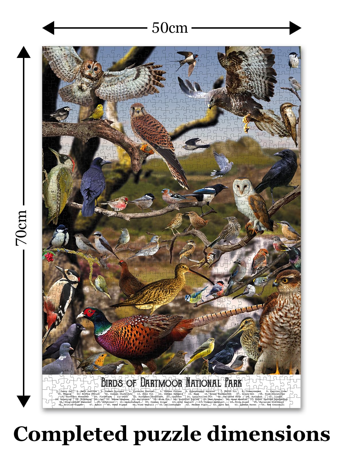 Bird Puzzles for Adults 1000 Pieces | Discover Birds of Dartmoor National Park - A 1000 Piece Puzzle for Adults | Gift for Nature and Wildlife Lovers | Adapted from an Original Art Collage Jam Contemporary Art