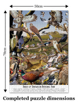 Bird Puzzles for Adults 1000 Pieces | Discover Birds of Dartmoor National Park - A 1000 Piece Puzzle for Adults | Gift for Nature and Wildlife Lovers | Adapted from an Original Art Collage Jam Contemporary Art