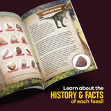 Dan&Darci Real Fossil Dig Kit for Kids - Science Kits for Boys & Girls Age 8-12 - Birthday Gift Ideas for 8, 9, 10, 11, 12 Year Old Boy or Girl - Fossils Digging STEM Toys for Ages 8-13 Dan&Darci