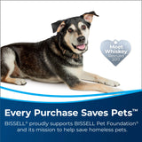 Bissell TurboClean PowerBrush Pet Carpet Cleaner, 2987 Bissell