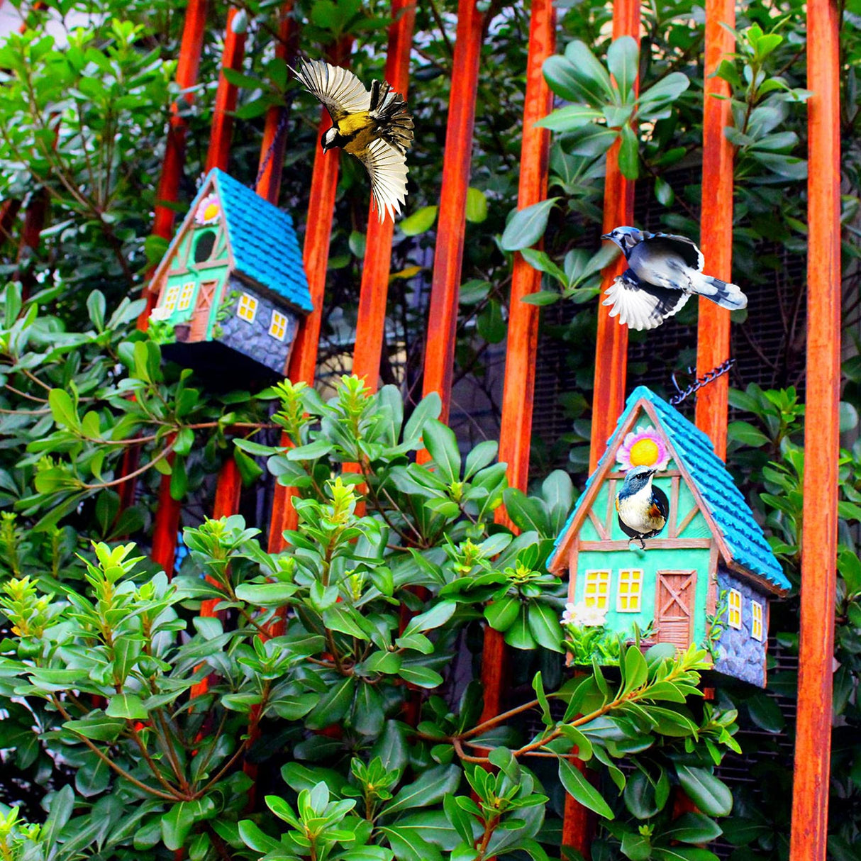 Bird Houses for Outside Clearance Hanging Birdhouses for Outdoors Bluebird Houses for Outside Nesting Box for Bird Lovers Tree Swallow Bird Finch Wild Birds Wren Chickadee1 ZLSZTMI