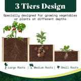 AMERLIFE 3-Tier Raised Garden Bed for Outdoor Gardening, Fir Wood Planter Box with Dividers, Tool-Free Assembly, Garden Box Perfect for Vegetables, Herbs, and Flowers AMERLIFE