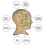 AQUARIUS Lord of the Rings Map Puzzle (1000 Piece Jigsaw Puzzle) - Glare Free - Precision Fit - Officially Licensed Lord of the Rings Merchandise & Collectibles - 20 x 28 in AQUARIUS