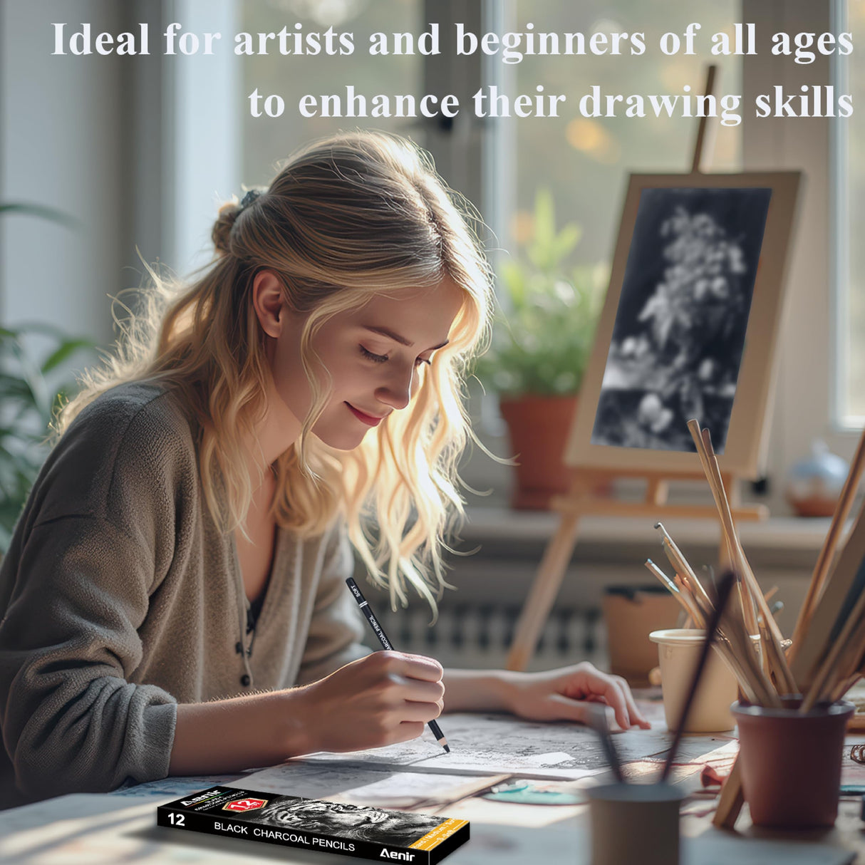 Charcoal Pencils for drawing, Set of 12, Charcoal Drawing Pencils (S-Soft, Soft, Medium, Hard), Art Supplies for Artist, Sketching, Shading Aenir