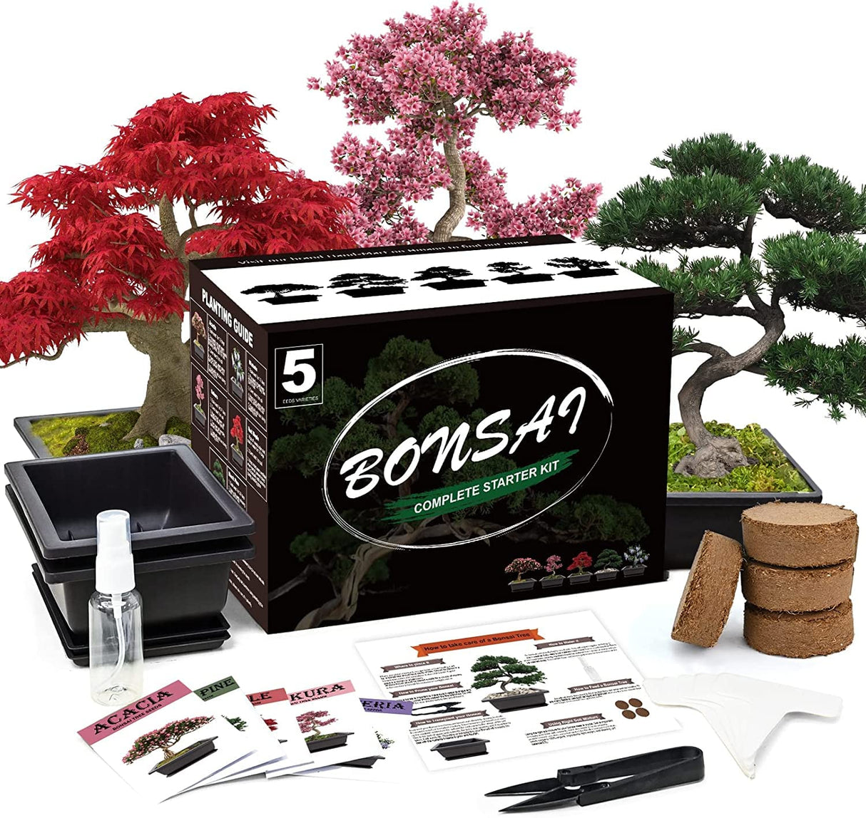 Meekear 5 Bonsai Tree Kit Complete Plant Growing Tools, Grow in Pot Indoor Bonsai Tree Starter Kit, Great Home Gardening Potted Plants DIY Gift for Adults Meekear