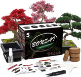 Meekear 5 Bonsai Tree Kit Complete Plant Growing Tools, Grow in Pot Indoor Bonsai Tree Starter Kit, Great Home Gardening Potted Plants DIY Gift for Adults Meekear