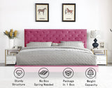 King Upholstered Platform Bed Frame with 48" Tall Adjustable Headboard - Button Tufted Suede Velour Bed- Wood Slat Support with Storage Space - No Box Spring Needed - Pink - OLIVER & SMITH - Princeton OLIVER & SMITH SINCE 1921