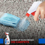 All Purpose Paint Remover Spray 22oz - Water Based Adhesive Remover Spray, Spray Paint Remover, Graffiti Remover Spray, Overspray Remover, Dried Paint Remover - No Methylene Chloride NMP Formula Max Strip