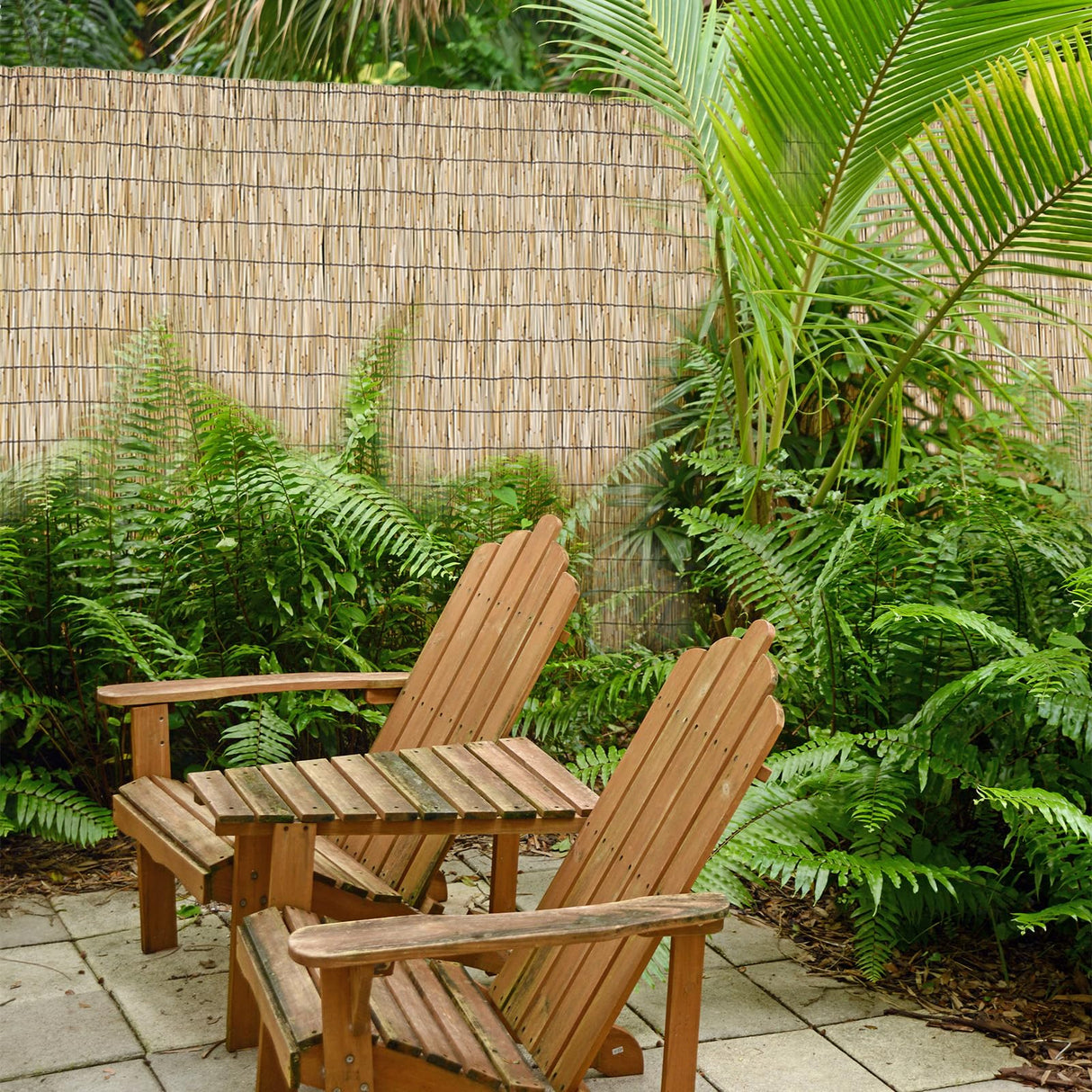 SHYDZYYC Natural 2 Pack 4FT X 16.4FT Reed Fencing Roll, Balcony Privacy Balcony Shade Reed Bamboo Fencing Garden Fence Border, Wind Block Sunshade Fence Screen for Outdoor Yard Patio Flower Bed Edge SHYDZYYC