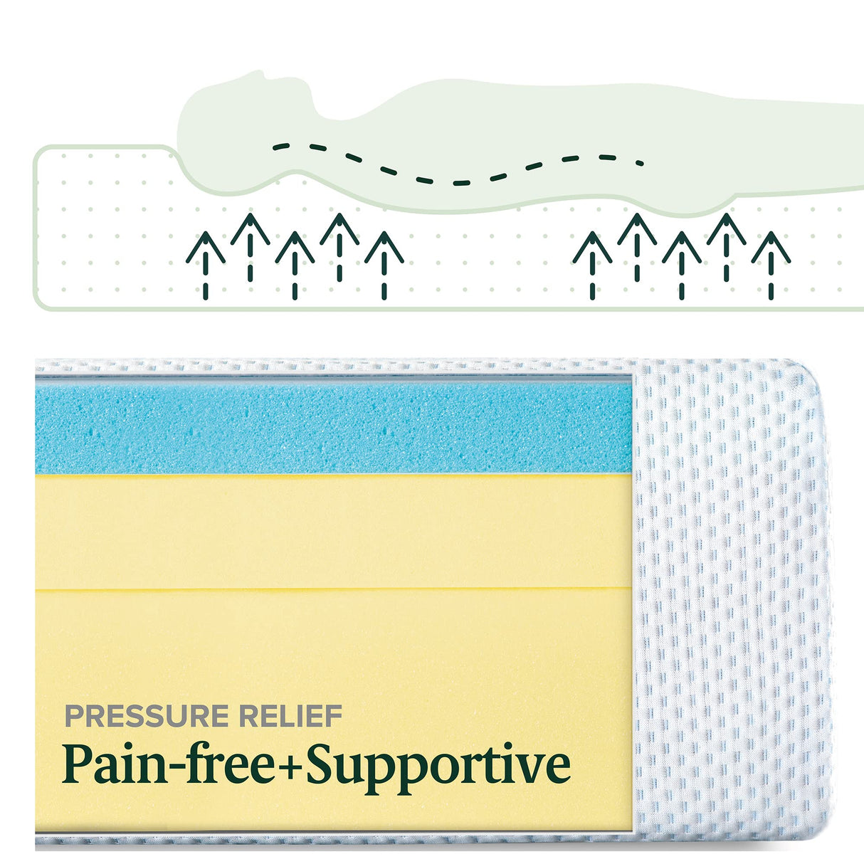 ZINUS 12 Inch Green Tea Cooling Memory Foam Mattress [New Version], Queen, Fiberglass Free, Medium Firmness, Cooling Gel Foam, Certified Safe Foams & Fabric, Mattress in A Box Zinus