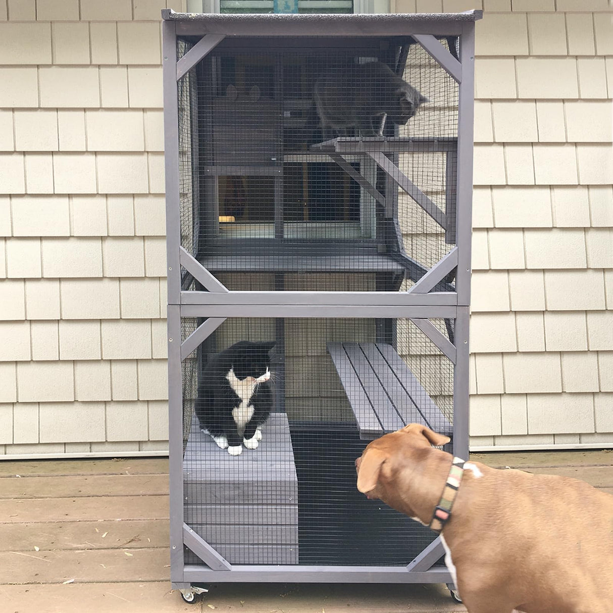 GUTINNEEN Cat House Mobile Catio for Outdoor Enclosure with Waterproof Roof Feral Cat Cage On Wheels,Bird Cage with Upgraded Resting Box,70.9" GUTINNEEN