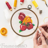 Framendino, 4 Pack Round Embroidery Hoops 8 Inch Imitated Wood Display Frame Circle Cross Stitch Hoop Rings for Art Craft Sewing Hanging Ornaments Framendino