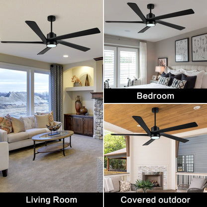 WINGBO 54" DC Ceiling Fan with Lights, 5 Carved Solid Wood Blades, 6-Speed Reversible DC Motor, Matte Black Finish Ceiling Fan with Remote, Black