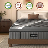 Twin XL Mattress,Lechepus 14Inch Soft Memory Foam Hybrid Mattress in box,Plush Feel Twin XL Size Mattress with Supportive Pocket Coil for Back Pain Relief,Motion Isolation, None of Fiberglass Lechepussleep