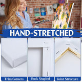 Halobios 4 Packs Blank Canvases for Painting with 8x10in,11x14in(2 of Each), Stretched Canvases for Acrylics, Oils & Other Painting Media, 100% Cotton, 5/8 Inch Profile of Super Value Canvas Pack Halobios