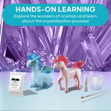 Discovery #MINDBLOWN Dragon & Unicorn Crystal Grow Kit DIY STEM Activity Set Educational Arts & Crafts for Kids Children's Chemistry & Science Learning Toy Fun & Safe Science Project Gift Ages 8+ Discovery Kids