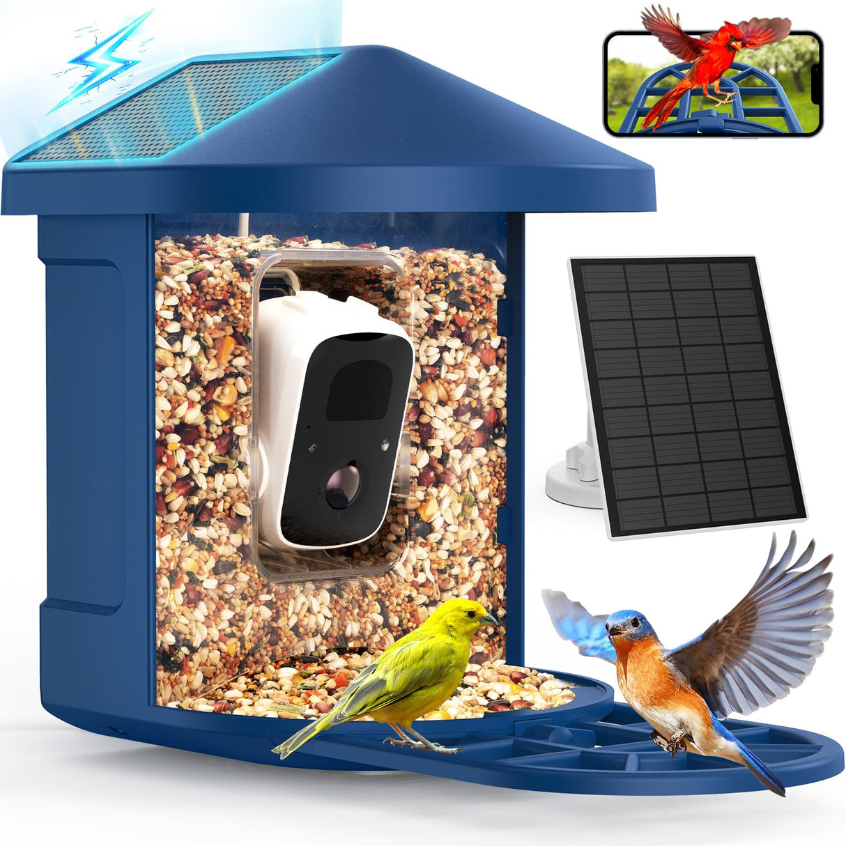 PeckCam® Bird Feeder with Camera, 2K HD AI Identify Birds Species, Bird Feeder with Camera Solar Powered, Auto Record Birds Video, Instant Notifications, Ideal Gifts for Family and Bird Lovers PeckCam