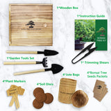Bonsai Tree Kit – DIY Japanese Bonzai Trees with All-in-One Indoor Plant Growing Tools & Planters – Unique Gardening Gifts for Women, Men & Kids LUOJIBIE