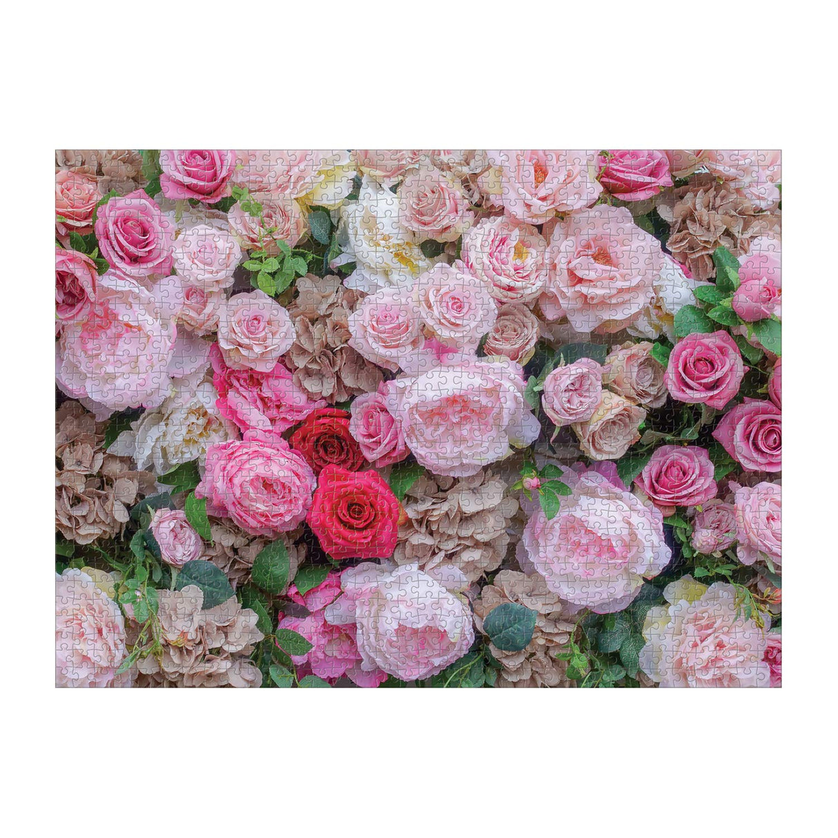 English Roses 1000 Piece Puzzle from Galison - Beautiful Photographic Jigsaw Puzzle from James Ogilvy Featuring Roses and Hydrangeas, Challenging & Fun Puzzle for Adults, 27" x 20", Unique Gift Idea Galison