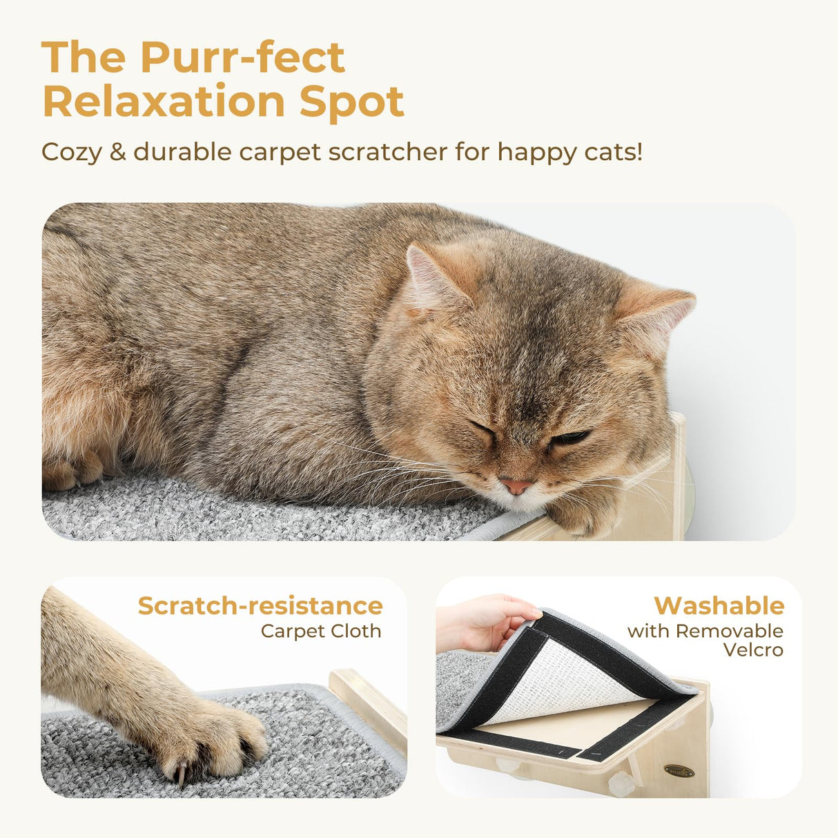 Pecute 2-in-1 Cat Window Perch & Wall Shelves - Sturdy Solid Wood Frame, 4 Large Rotating Suction Cups, Washable Carpet Cloth Cover, Space-Saving Indoor Cat Hammock Bed for Large Cats & Kittens Pecute