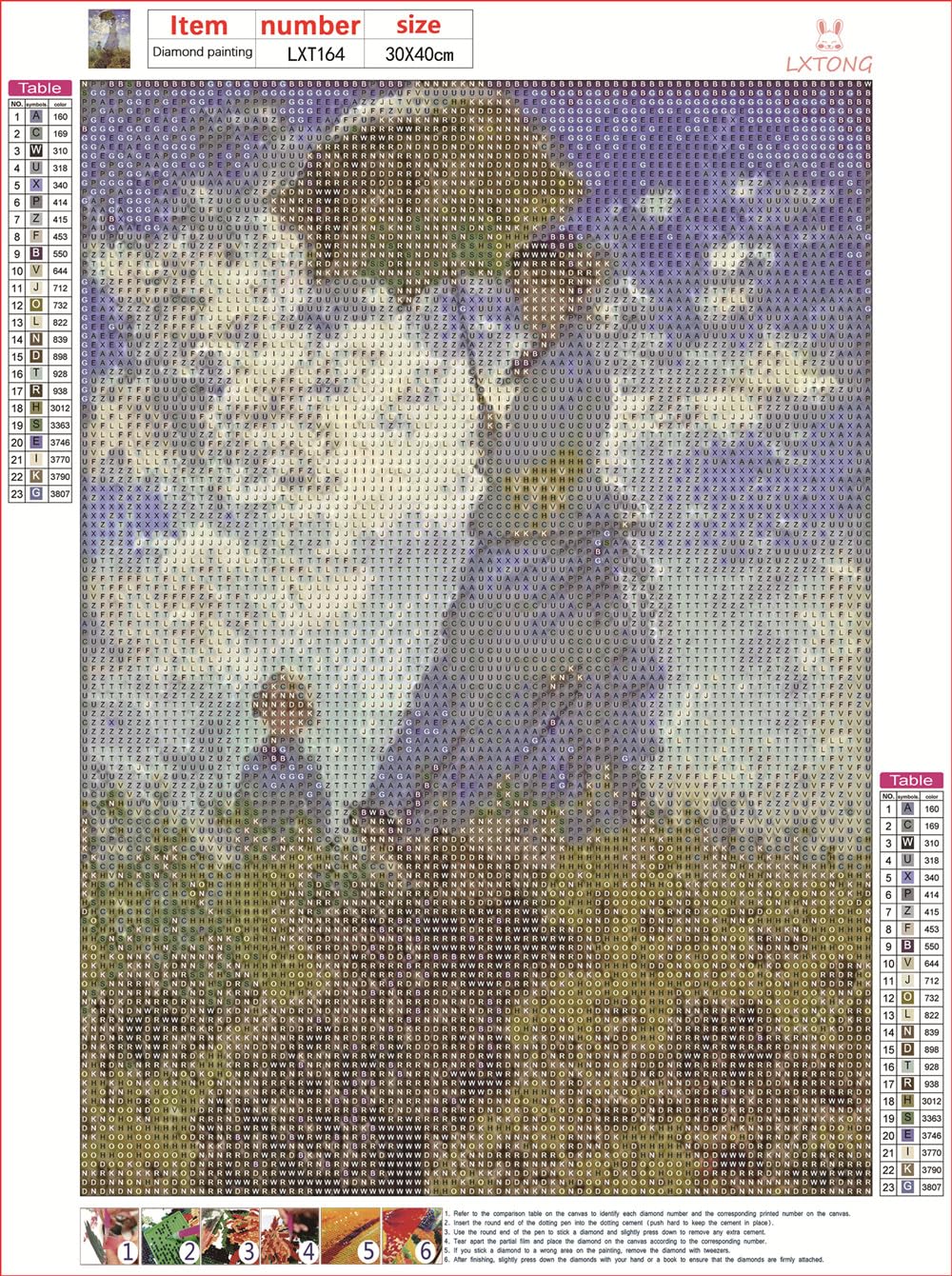 LXTONG Monet Famous Paintings Diamond Painting Kit 5D Full Round Diamond Painting Set Monet Women Crystal Rhinestones Cross Stitch Arts for Adult Wall Decor (30 X 40 CM) LXTONG