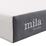 Modway Mila Firm 6" Fiberglass Free Memory Foam King Mattress Modway
