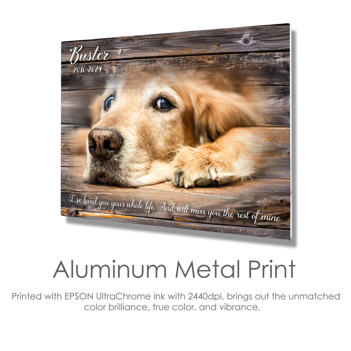MUNDAZE Custom Pet Portrait Memorial Photo – Personalized Dog or Cat Loss Gift – Glossy Metal Print with Your Pet’s Photo – Sympathy Keepsake – Made and Shipped in USA MUNDAZE