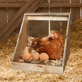 Farm Innovators Single Compartment Versatile Hand Crafted Fully Assembled Wood Nesting Box Coop Ideal for Chicken, Ducks, and Birds Farm Innovators