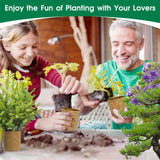 RiRifue Bonsai Tree Seed Starter Kit, with 4 Pcs Mini Garden Bonsai Tool Kit, 5 Tree Seeds Variety Pack for Planting, Creative Gardening Gifts for Plant Lovers Women Men Kid RiRifue