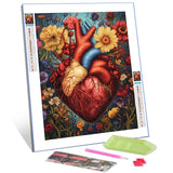 Women/Men Heart Diamond Painting DIY 5D,Numbering Kit,Human Organ,Body Anatomy Crystal Rhinestone Diamond Paintwork Garden Flowes Artwork Home Decor Adults Romantic Boho Gift(12''Wx 16''H) TUMOVO