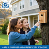 SISTERBIRD 2 Pack Bird Houses for Outside Clearance with Copper Guard, Cedar Bird House Outdoor, Bluebird Finch Swallow Wren Chickadee Assembly Required SISTERBIRD