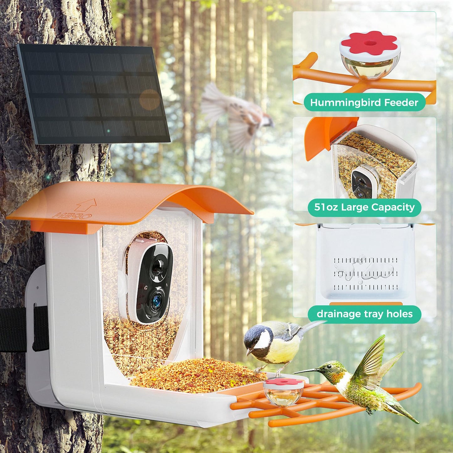 INVOCOO® Smart Bird Feeder Camera with Solar Panel, Bird Feeder with Camera Wireless Outdoor, AI Recognition & Auto Capture Bird Video, Waterproof -