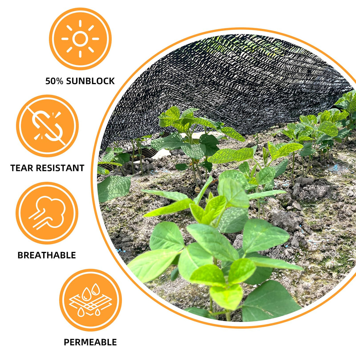 BELLEBILL 50% Shade Cloth, 6.5x16.5FT Sun Shade Cover Net Mesh Tarp with Grommets for Greenhouse, Plant, Garden, Patio, Pergola, Sun Shade Canopy Black BELLEBILL