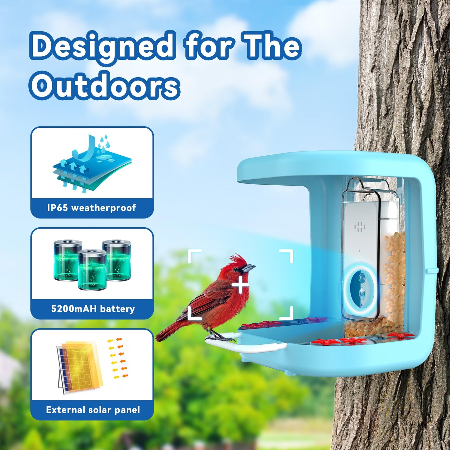 Qidoubird Smart Bird Feeder with Camera, Outdoor Bird Feeder Camera Solar Powered, Real Time Notifications, 1296P HD Live Video Bird Feeder Camera, Ideal Gifts for Bird Lovers (with Solar Pan - WoodArtSupply