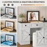 JDPAG Farmhouse Vanity Desk with Flip Top Mirror and Lights, Makeup Vanity Table with 2 Adjustable cabinets,2 Drawers and Hidden Storage Stool, Charging Dressing Table Set for Bedroom,White JDPAG